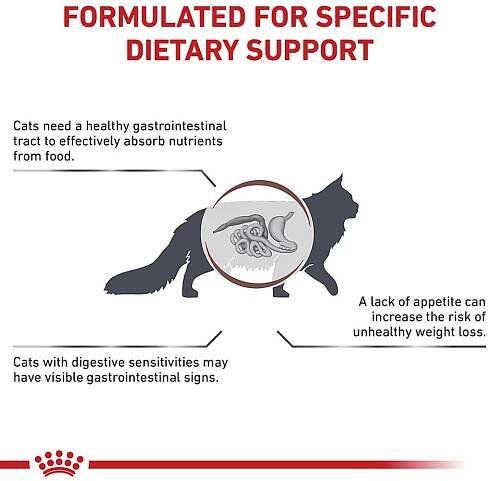 Royal Canin Veterinary GASTROINTESTINAL CAT อาหารเม็ดแมวประกอบการรักษาโรคทางเดินอาหาร