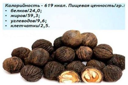 Nutriční hodnota černého ořechu