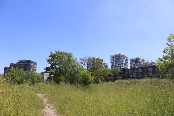 Pojmenujte nový park pod Vrchem sv. Kříže