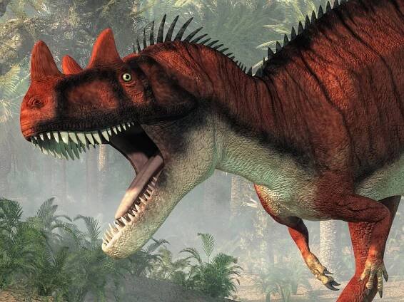 ceratosaurus-detail-hlavy