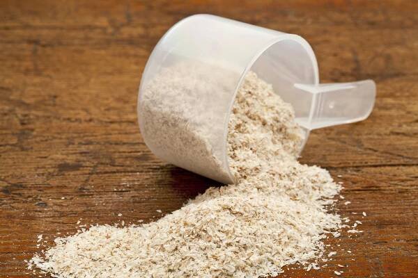 Lopatka psyllium slupky semen — Stock obrázek