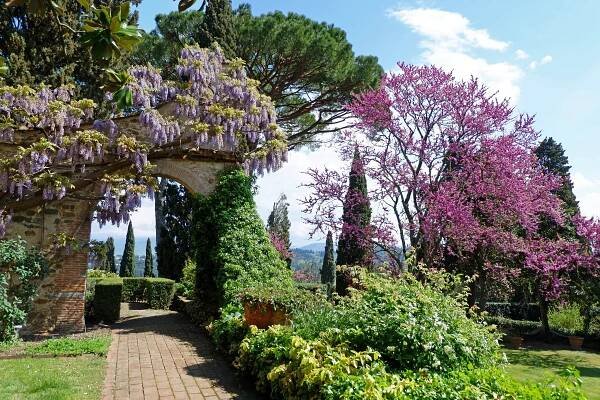Photogallery Hotel Torre di Bellosguardo | Pictures Of Bellosguardo Hill-Top Hotel | Hotel Torre di Bellosguardo