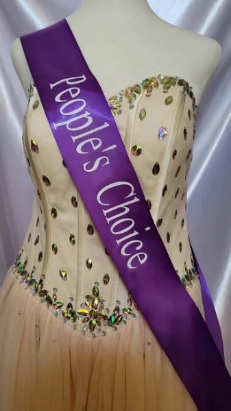 Ribbon Sash - People's choice