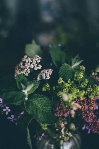 Beautiful UK grown flowers