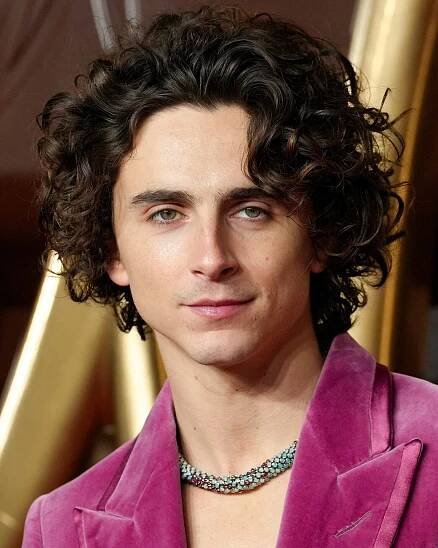 Timothee Chalamet turned to vocal coach to the stars for ‘Wonka’