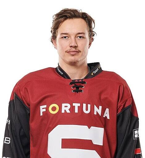 David Vitouch - Hokej - iDNES.cz