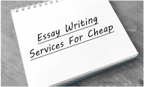 Pay for Essays - Top 5 Sites Reviews - The Village Voice