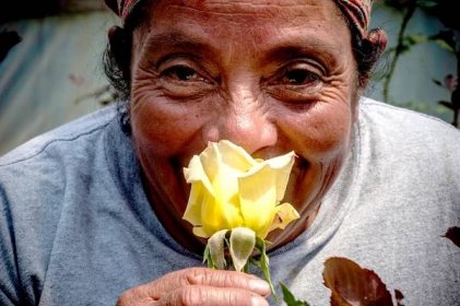 close up of woman smelling a yellow flower
