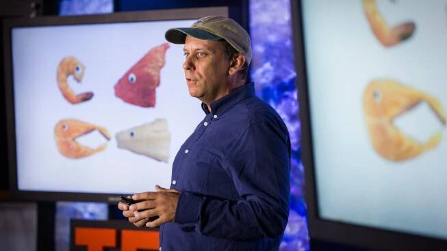 The four fish we're overeating -- and what to eat instead