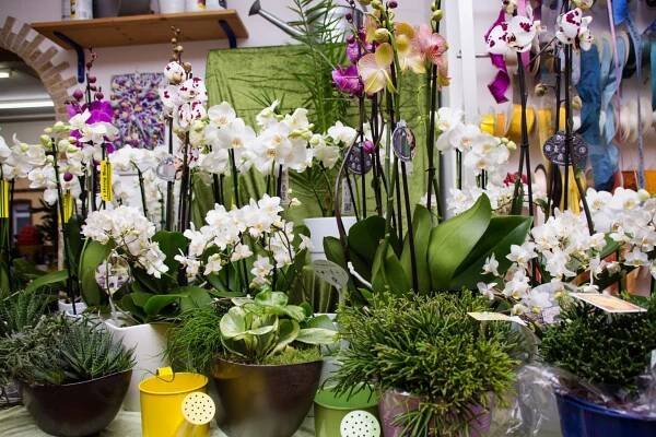 Über uns | Blumenhaus Schimmel