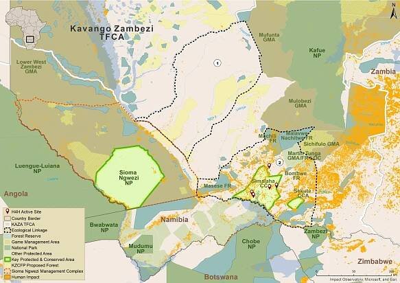 Ranger Revolution: Specialised Training Takes on Wildlife Crime - Peace Parks Foundation
