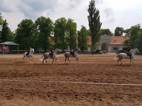 Výlet se starostou Kladruby – Město Desná