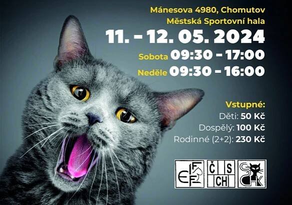 MVK Chomutov 2024 - Steliva.cz