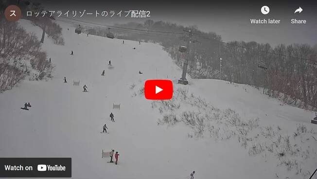 Lotte Arai Live Camera
