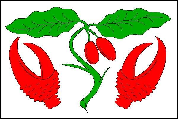 Soubor:Dřínov (Kroměříž District) Flag.PNG – Wikipedie