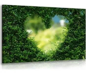 Malvis ® Obraz živý plot - srdce Velikost (šířka x výška): 60x40 cm