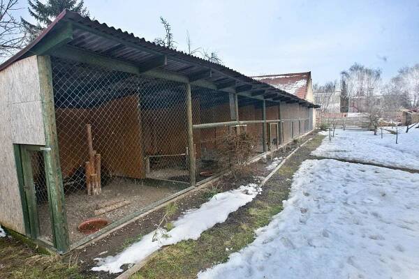 FOTO: Dravci hladoví, sníh ohrozil jejich životy