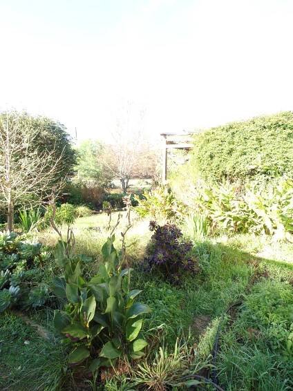 Photo garden-se-orig-4.jpeg.  Click to redisplay small version of image.