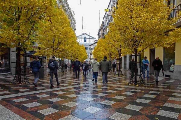 13 FREE Things to Do in Madrid in 2023