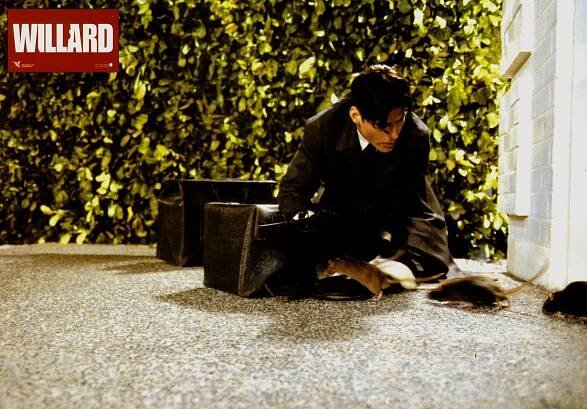 Crispin Glover - Krysař Willard - Fotosky