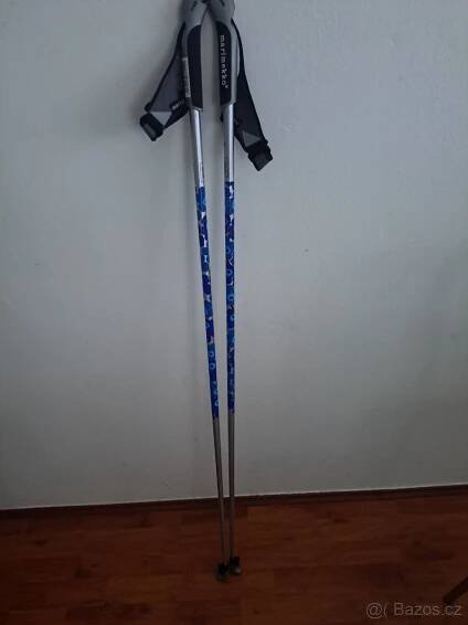 Hole nordic walking - Praha 6