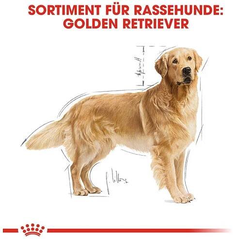 Royal Canin Granule pro psy Golden Retriever Adult 12 kg
