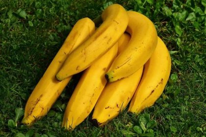 Banana Powder (Musa paradisiaca)