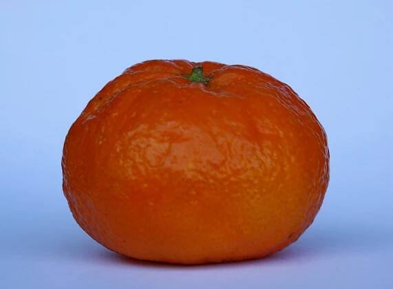 Súbor:Mandarine 001.JPG