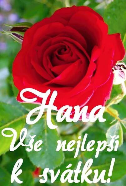 Hana Voborníková adlı kullanıcının Svátek panosundaki Pin