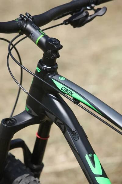 Kellys Gibon 70
