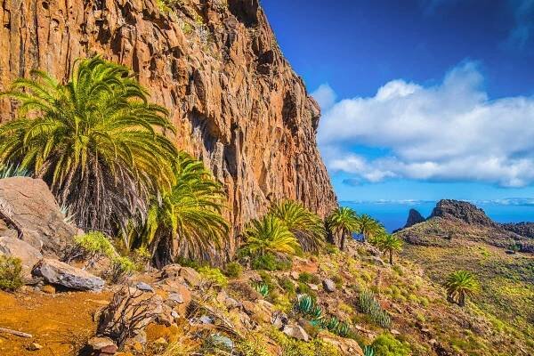 Pěší turistika na ostrově La Gomera | Delfín Travel