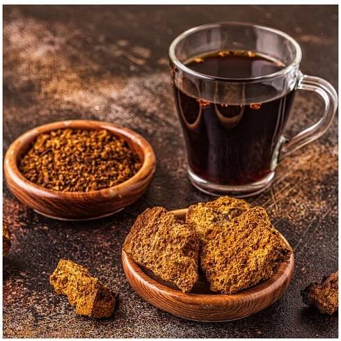 Chaga (Čaga) - kapsle extrakt 20 % Polysacharidů