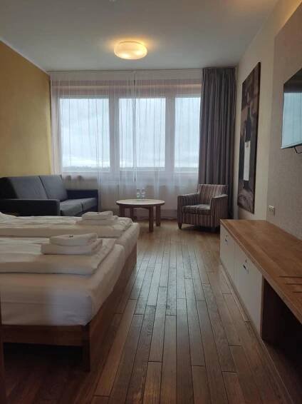 TV a/nebo společenská místnost v ubytování Hotel Madl