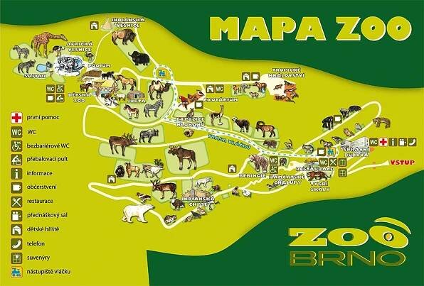 Když jste z Brna a máte děti, tak je často volba na ZOO. Musím říci, že i když je zahrada menší a na kopci, tak se v poslední době proměnila k lepšímu a věřím, že tento trend bude pokračovat. Pro malé děti je každá ZOO ráj, tak proč ne v Brně?