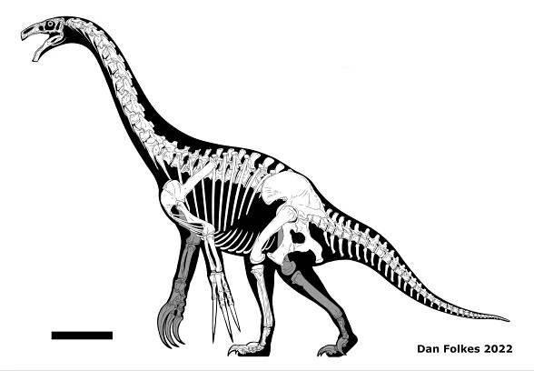 RECONSTRUCTING THE GIANT SLOTH DINOSAUR, THERIZINOSAURUS — THECODONTIA