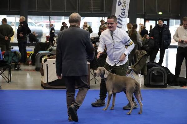 🇨🇿 Medzinárodná výstava DUO CACIB BRNO 2023 🇨🇿 - Marlon.sk