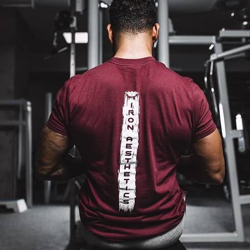 Pánské fitness tričko Iron Aesthetics Force, bordové