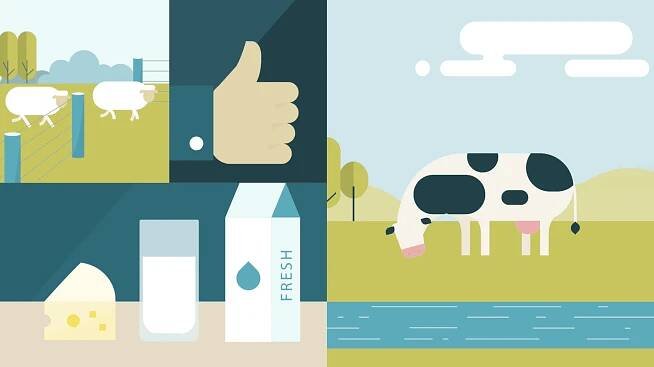 The Value Project - Our Land & Water - Toitū te Whenua, Toiora te Wai