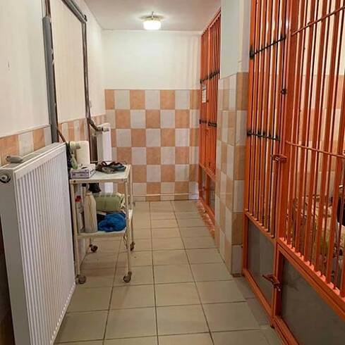 Městský útulek pro psy Lesan Kralupy nad Vltavou - Fotky útulku 