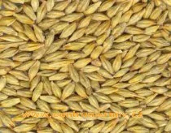Agro Podlesí, a.s.: Prodej