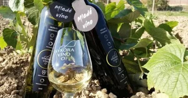 Zájezd do vinného sklípku včetně polopenze, cimbálové muziky a degustace za 2 499 Kč!