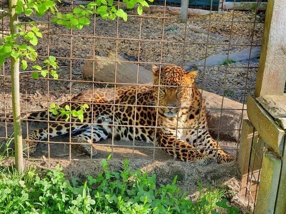Kontaktní Zoopark Zvole