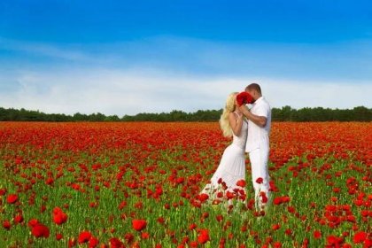 Milující pár s velkými květy kytice v bílém hadříku polibek a objetí v krásné makové pole během romantického rande. Lidé v divoké přírodě horizontální pozadí s jasně modrou oblohou. — Stock fotografie
