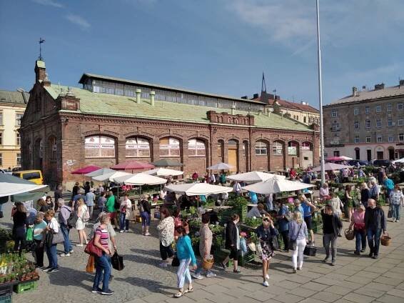 Zázemí pro odpočinek plné květin i tematické trhy. Výstaviště Flora pokračuje ve zvelebování tržnice - OLOMOUC.CZ