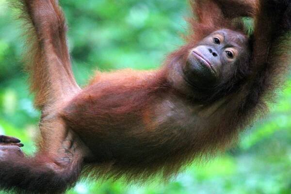 Sabah: The land below the wind - Fluffy Towel Travel
