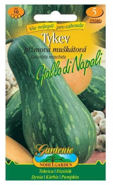 Gardenie Tykev pižmová muškátová GIALLO DI NAPOLI nakoupit u OBI