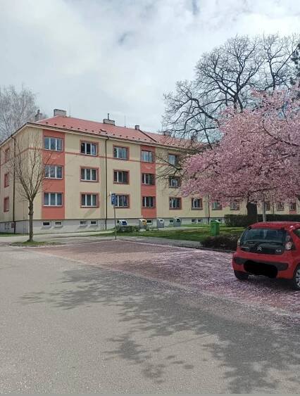 Prodej Byt 2+1, Šafaříkova, Hlinsko, okres Chrudim