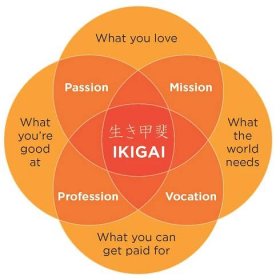 Ikigai: 5 principů štěstí v japonštině 1