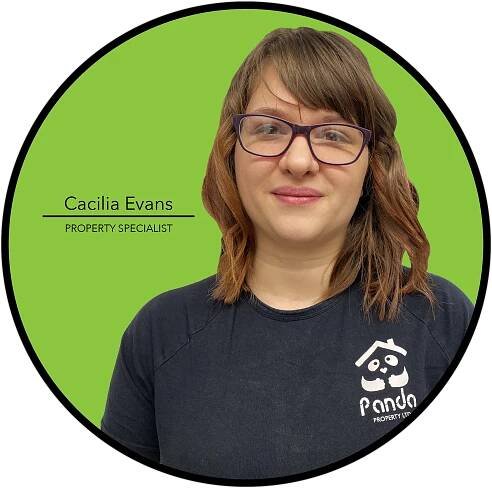 About Us - Panda Property Limited