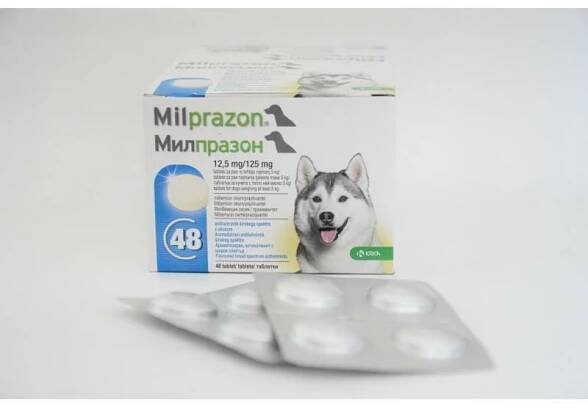 Milprazon /12.5 mg Milbemycine oxime 125 mg Praziquantel/ 1 box (48 tablets)